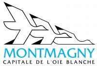 Ville Montmagny