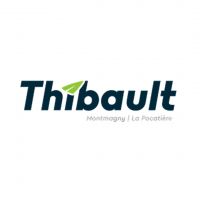 Thibault GM